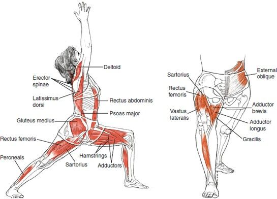 Skeletal Alignment - What Can Yoga Asanas Do?