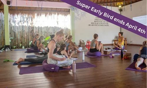 200hr Vinyasa & Aerial Yoga Teacher Training In Bali Lembongan